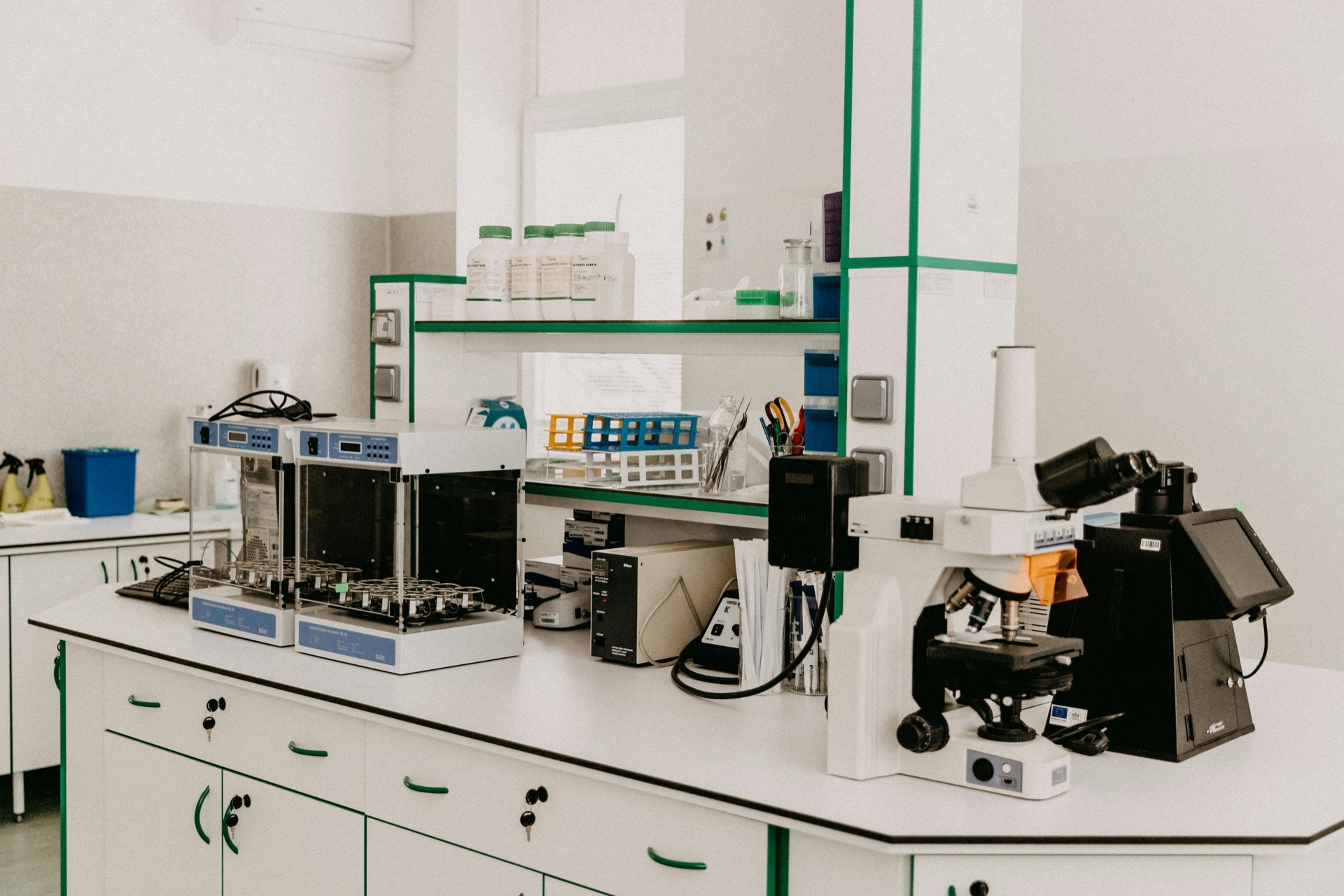 Researchers working at a laboratory bench
